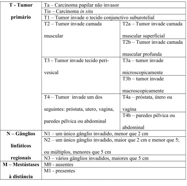 Tabela 2 – Classificações TNM (2002).