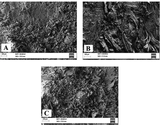 Figure 5: Scanning electron micrographs (SEM) (100μm) of the core of the panels A: Pinus; B: Eucalyptus; C: Sugarcane bagasse.