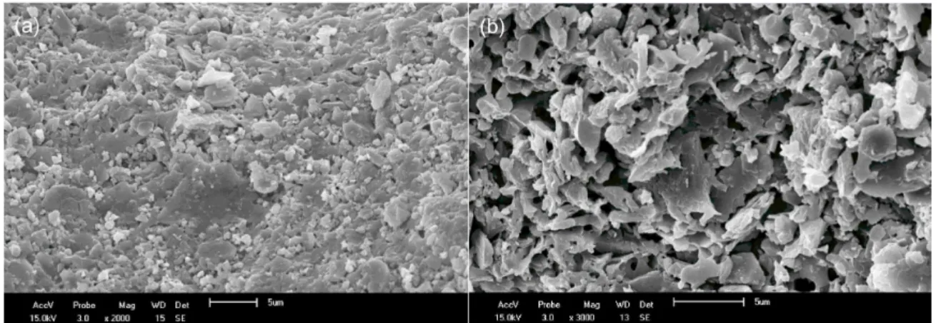 Figure 2. Scanning electron microscopy (SEM) of the tubular ceramic membrane (a) surface and (b) cross section.