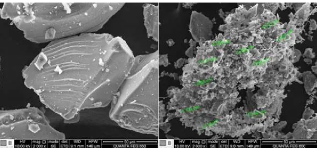 Figure 7. SEM images: on the left pure SiO 2 , on the right the composite (immobilized IL)