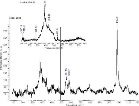 Figure 10. Raman spectra of SiO 2  and ionic liquid immobilized on SiO 2