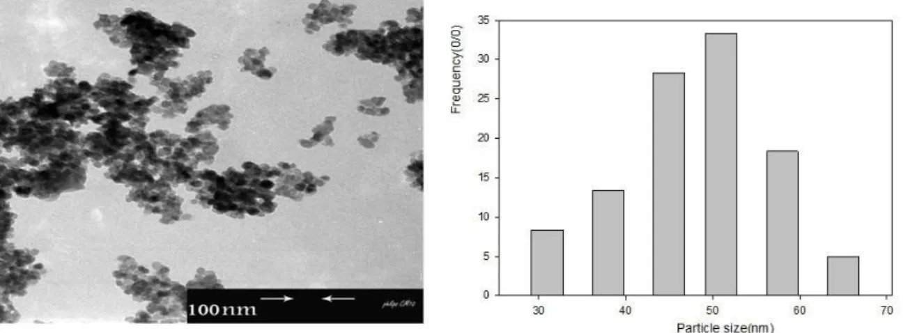 Fig. 5. The SSP plot of a) ZnO, (b) Zn0.98La0.02 Zr0.02O, (c) Zn0.96La 0.04Zr 0.04O, and (d) Zn0.94La 0.06 Zr 0.06O nanoparticles.