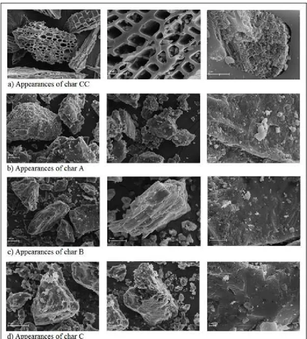 Figure 3 illustrates the morphology of the chars obtained  at SEM analysis.
