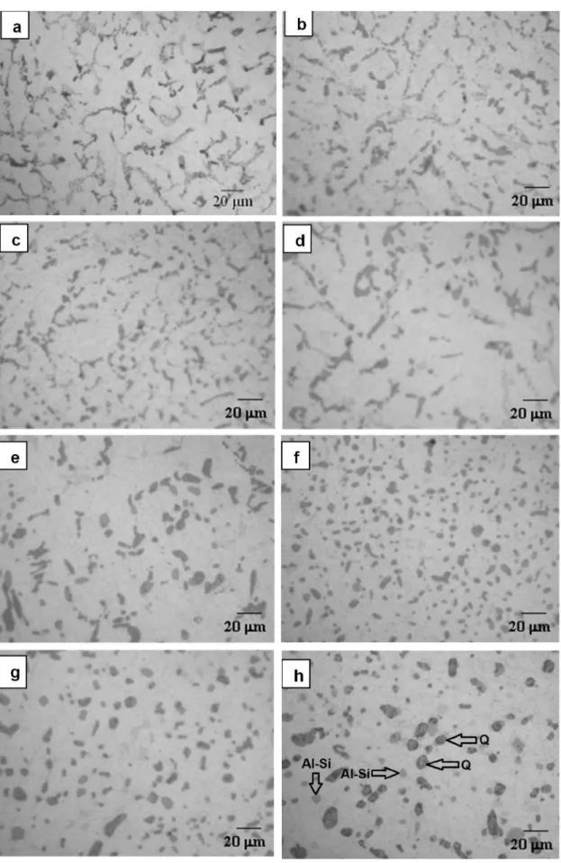 Figure 4. Optical micrographies showing the evolution of the microstructure in the alloy with 3.80 Mg wt.-%, in the as-cast condition  (a), and solution treated at 480 °C after: (b) 4 h, (c) 8 h, (d) 12 h, (e) 20 h, (f) 30 h, (g) 48 h, and (h) 72 h.