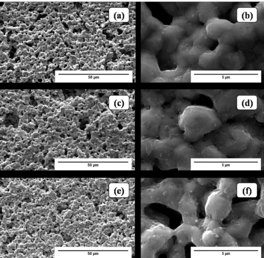 Figure 4: Microstructure of Ni-TiO 2  composite coatings at different magniication. (a,b) Ni-1%TiO 2 ; (c, d) Ni-3%TiO 2  and; (e, f) Ni-5%TiO 2 .