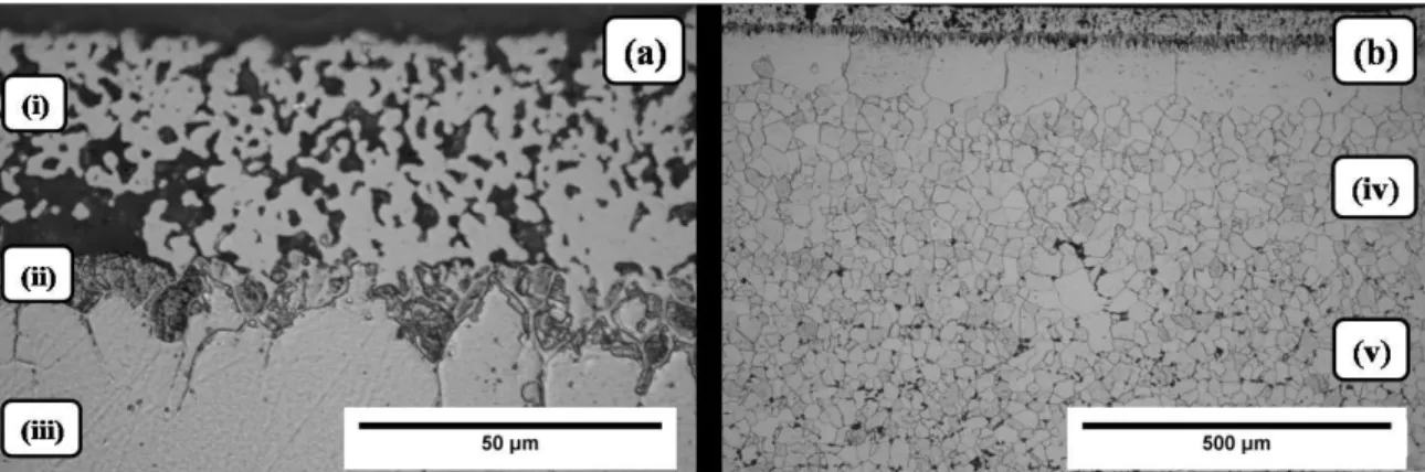Figure 5: Microstructure distribution of the Ni-1%TiO2 composite. (a) First, second and third regions of the supericial microstructure. 
