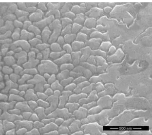 Figure 1 shows the FEG-SEM micrograph of one of  the carbon/cobalt deposited sample on a c-plane (0001)  sapphire substrate, keeping the substrate heated, as previously  described