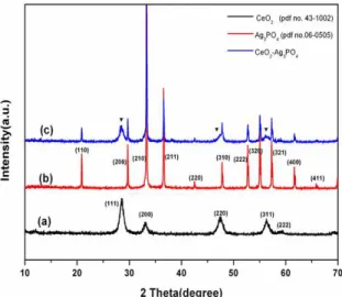 Figure 1 illustrates the XRD patterns of the obtained  pure CeO 2  nanoparticles, Ag 3 PO 4  and Ag 3 PO 4 /CeO 2  p-n  heterojunctions
