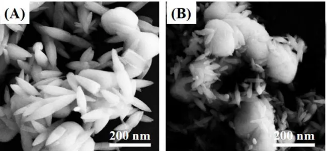 Fig. 2A depicts the XRD patterns of the as-prepared  ZnO-AgCl nanocomposite with different mass ratios of  ZnO to AgCl