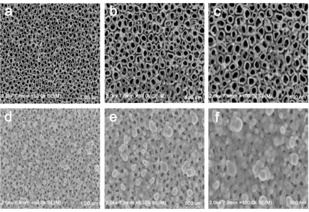 Fig. 1. Surface morphology of TNTs (a, b and c) and Ag-TNT coatings (d, e and f). a and d: 50kX; b and e: 80kX; c and f: 100kX.