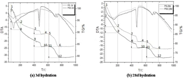 Fig. 6. TG-DTA patterns of PS and PSC hydrated for 3 and 28days(a and b, respectively).