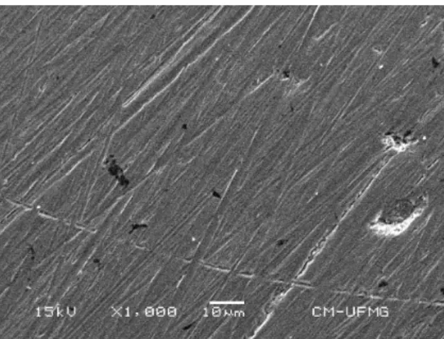 Figure 7. Surface of the AISI 444 steel after cyclic potentiodynamic  polarization test in medium of Divosan