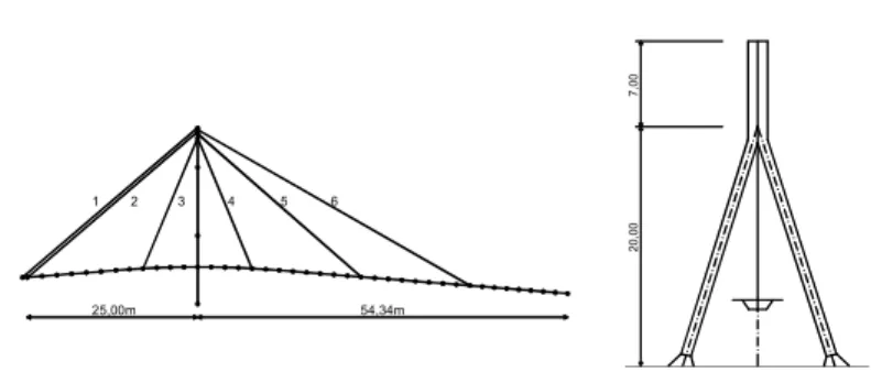 Figure 2. Schematic representation of the cable- cable-stayed pedestrian bridge 