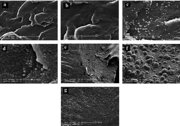 Figure 4. Contact angle values of the TPU/ Barium metaborate  composites.