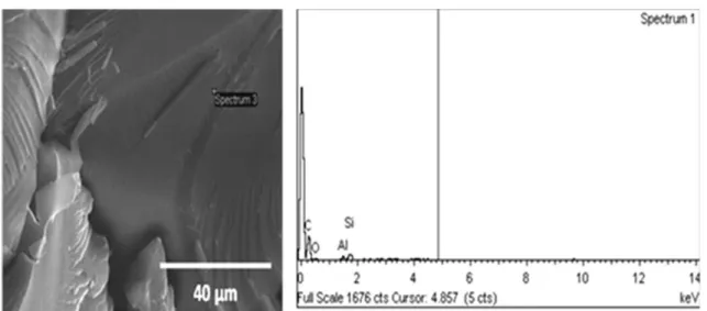 Figure 7 presents the DSC thermograms of PS-(PDMS) 3 samples, the precursor, and a PS sample (M n =10 KDa) chosen  as a reference