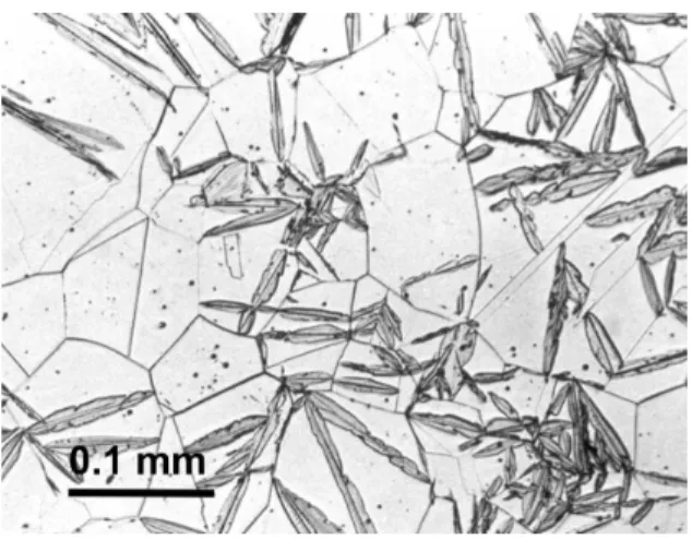 Fig.  1 – Light micrograph showing the microstructure of a  coarse-grained austenite of a Fe-31wt%Ni-0.02wt%C alloy transformed  at M S  = 220 K