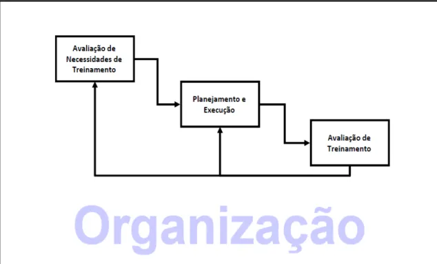 Figura 1. Sistema de Treinamento. Adaptado de Borges-Andrade (1996) 