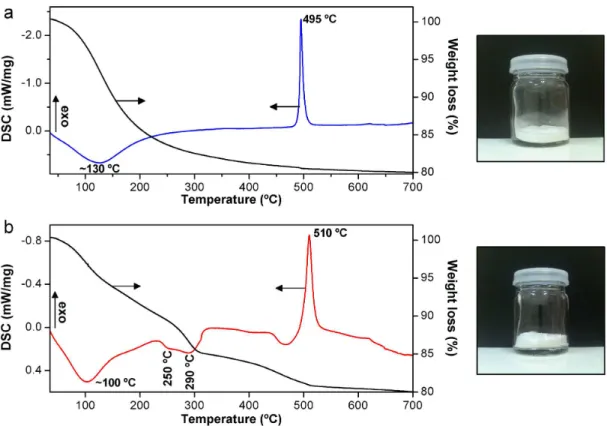 Fig. 6 FT-IR spectra of the 6InNbSZ sample dehydrated by (a) FD  and (b) EW/AD.