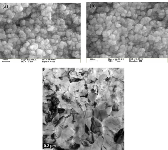 Figure 1. Morphology of the surface of Cu plates after oxidation at 200 °C for (a) 10 minutes and (b) 120 minutes