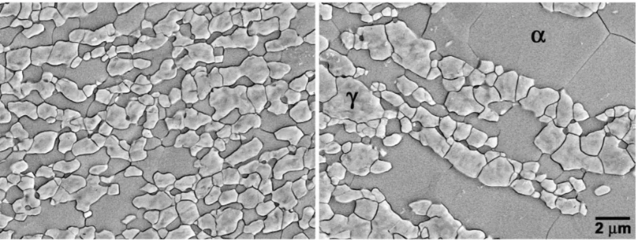 Figure 9 shows the SZ-RS and SZ-AS, illustrating  the differences in grain size of the ferrite and austenite