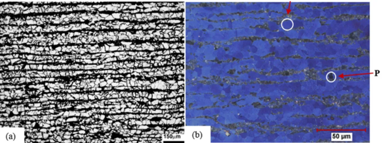 Figure 2: Weld joints showing the regions of microhardness indentations for (a) EXP1 (single wire S-SAW) and (b) EXP 2 (two wires  T-SAW).