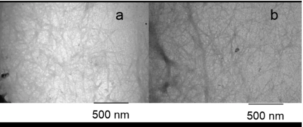Figure 2. Micrographs obtained using TEM of the cellulose nanoibers from rice hulls: extraction at 1 h (a), and 2 h (b).