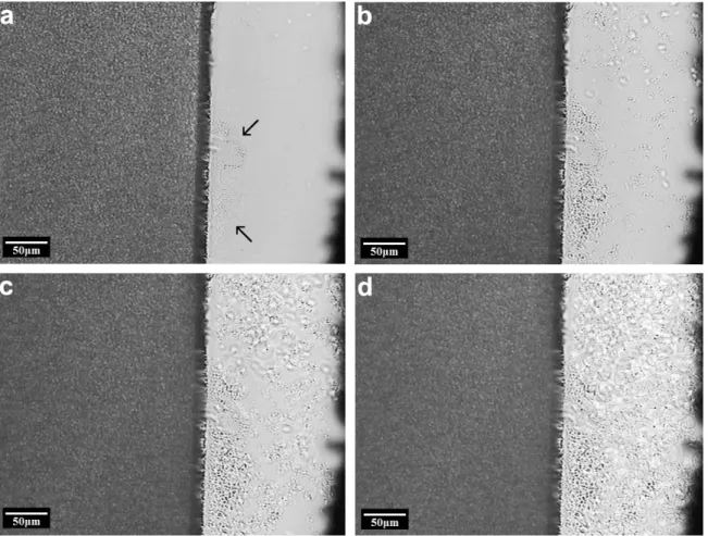 Figure 4. Polarized light optical micrographs of crystallized PPS cooled at 5 °C/min in the presence of a carbon iber microilament: 