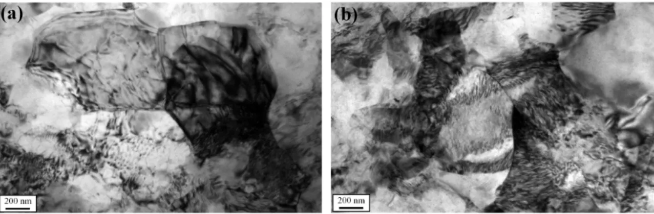 Fig. 5 shows the microstructures after annealing of the  sheets processed by (a) ingot and (b) TRC, respectively