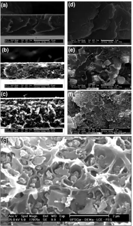 Figure 4  presents SEM images of Ultem   and Ultem  /ZIF-8  mixed matrix membranes. Figures 4d-f show that in this range  of magniication there are no large agglomerates or defects  that could be detrimental to the properties of the mixed matrix  membran