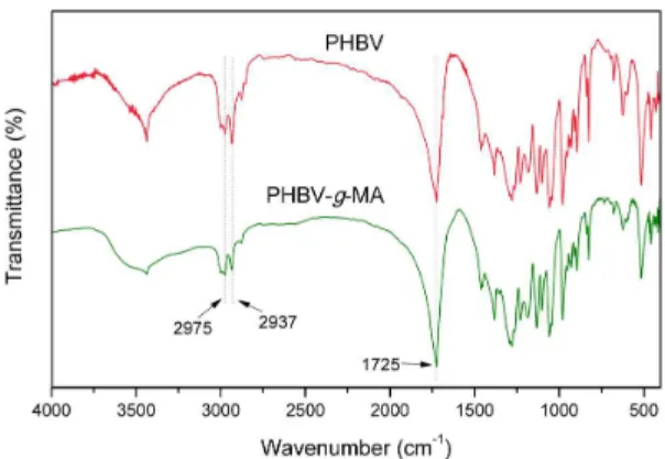 Figure 3  shows the region between 900 and 500 cm -1 ,  where is possible to suggest that MA is grafted to PHBV  chains, due to the appearance of a new absorption band at  699 cm -1 , which is attributed to the bending of the CH group  of grafted anhydride