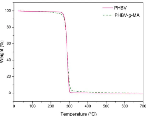 Figure 3. FTIR spectroscopy of neat PHBV and PHBV-g-MA in  the region between 900 and 500 cm-1.