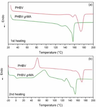 Table 2. Crystallization temperature (T c ), crystallization enthalpy (∆H c ), melting temperature (T m ), melting enthalpy (∆H m ) and glass  transition temperature (T g ) on second heating scan for neat PHBV and PHBV-g-MA.