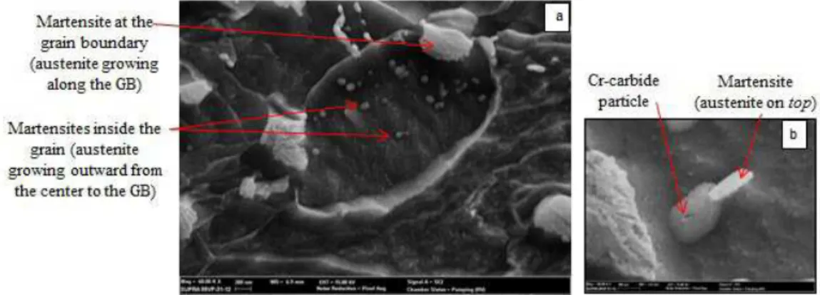Fig. 6a shows the martensite (white) growing at the  grain boundary and within the ferrite grain