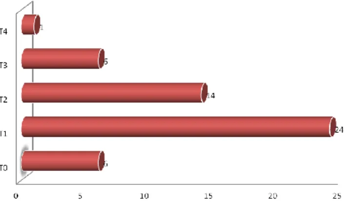 Gráfico 5.13 - Números de imóveis não registados por tipologia 