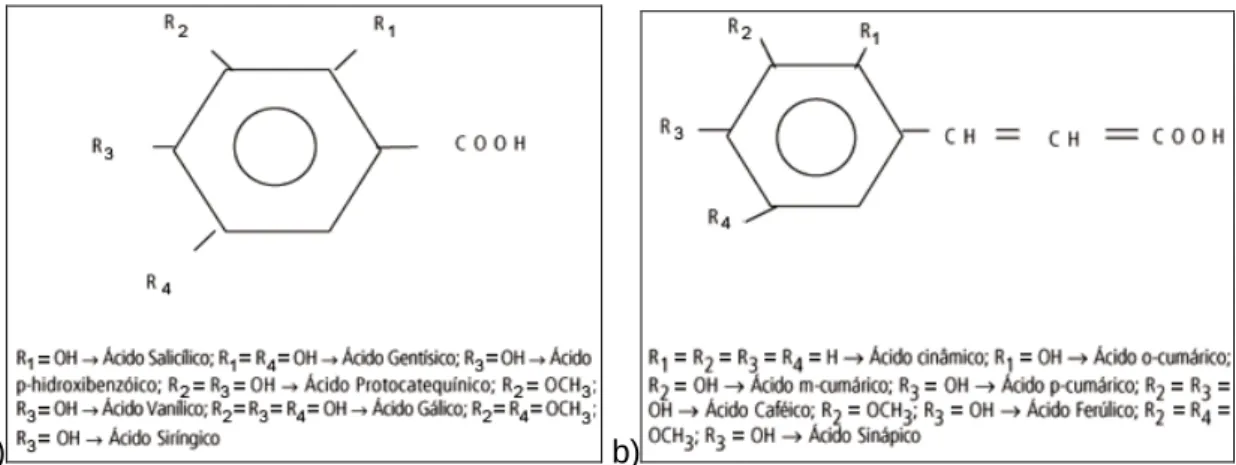 Figura 10 – Estrutura química dos a) ácidos benzóicos e b) ácidos cinâmicos    (adaptado de Soares, 2002) 