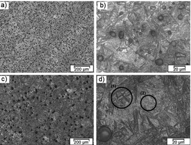 Figure 7. Microstructures of (a-b) pressed and (c-d) injection molded samples sintered at 1400 °C