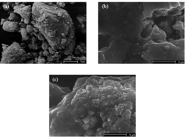 Figure 3. MEV (a) NZ, (b) NZ@SiO 2  and (c) NZ@SiO 2 /Chitosan.
