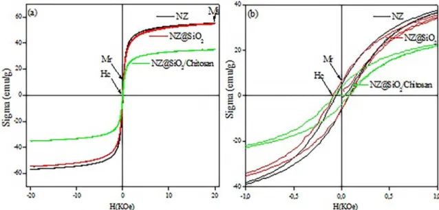 Table 1. Hysteresis Parameters to NZ, NZ@SiO 2  and NZ@