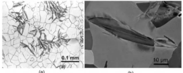 Figure 1. Microstructure of Fe-31wt%Ni-0.02wt%C transformed  at the martensite start temperature: (a) Optical micrograph showing  the isolated spread events 9 ; (b) Scanning electron micrograph using  backscattered electrons showing one martensite plate hi