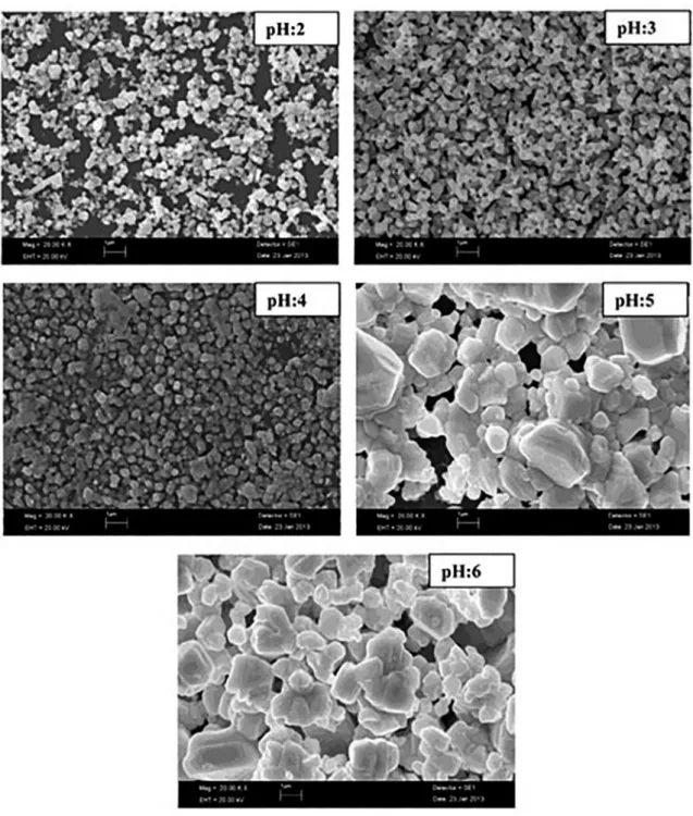 Figure 4. SEM imagines of AgI thin ilms.