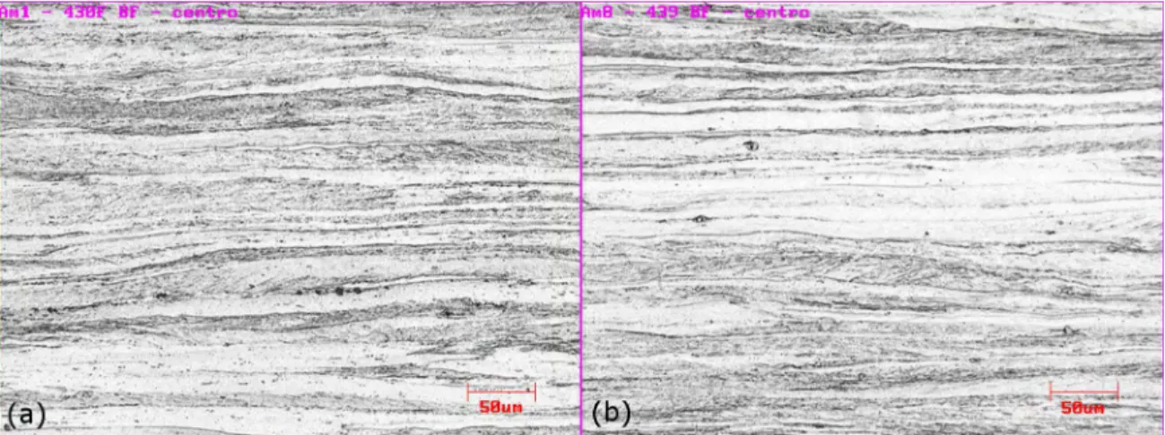 Figure 2. Microstructure of the cold rolled samples (CR). (a) 430Nb CR and (b) ASTM 439 CRpossible to identify any changes in microstructure analyzed 