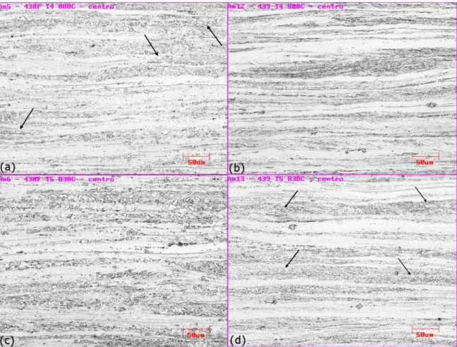 Figure 3. Microstructure of the samples with interrupted annealing treatment at temperatures T4, 800 °C, (a) 430Nb T4 (b) ASTM 439  T4 and T5, 830 °C, (c) 430Nb T5 (d) ASTM 439 T5.