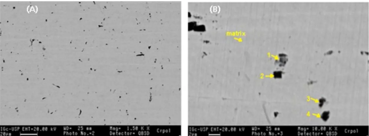 Figure 2. SEM micrographs of the AISI 409 stainless steel: a) General view; b) Detailed view showing precipitates with diferent  morphologies.
