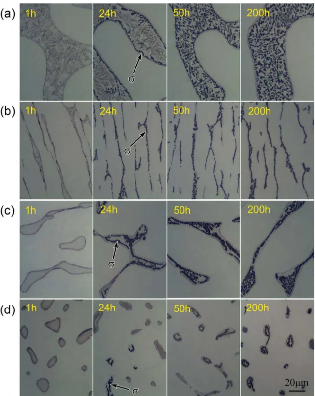 Figure 5. OM photographs of Z3CN20.09M specimens with diferent microstructure aged at 750°C for diferent times (a) specimen A,  (b) specimen B, (c) specimen C, (s) specimen D.