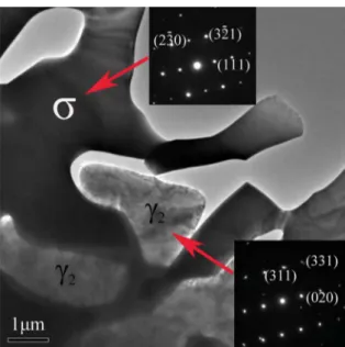 Figure 6. TEM micrograph of the Z3CN20.09M specimen aged  at 750 °C for 200 h.