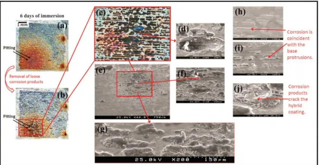 Figure 12. Selection of images obtained from the TP-HF sample after 6 days immersion in 0.05 M NaCl.