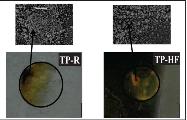 Figure 10. Images obtained after 96 hours of EIS of the samples.