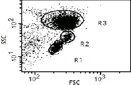 Figura 3 – Exemplo de um caso de aquisição de um gráfico de pontos em dispersão frontal (FSC) –  lateral (SSC) de luz por citometria de fluxo