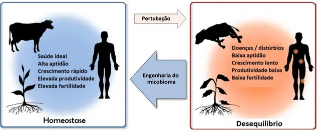 Figura 8- Visão geral da aplicação e progresso da engenharia de microbiomas  Adaptada de : (Foo et al., 2017) 