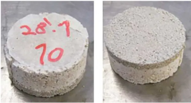 Figure 2. Final aspect of the circular reference specimens, with  several layers.